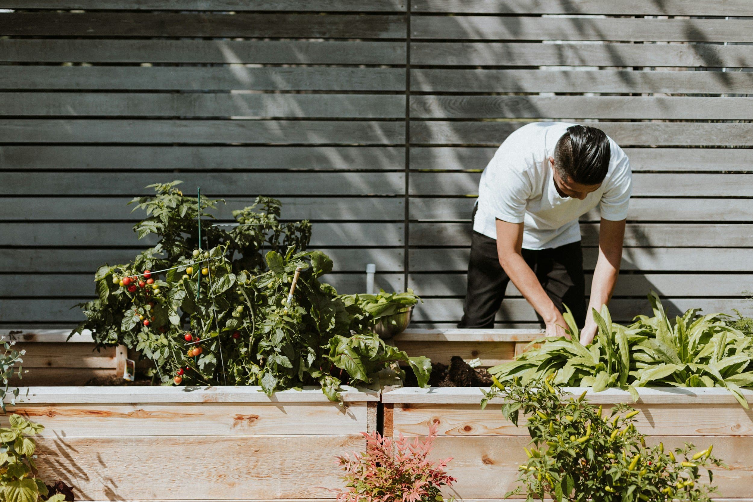 Nature and sustainable living