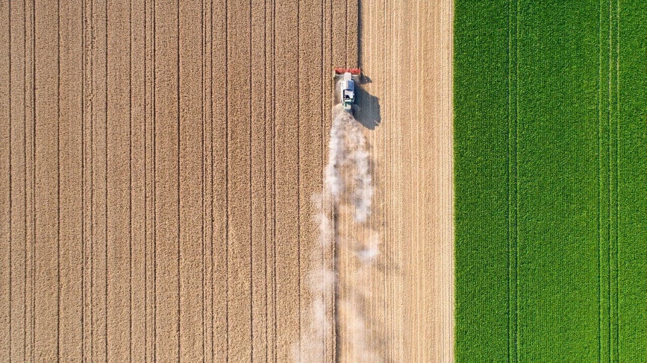 Udemy - Artificial Intelligence In Agriculture