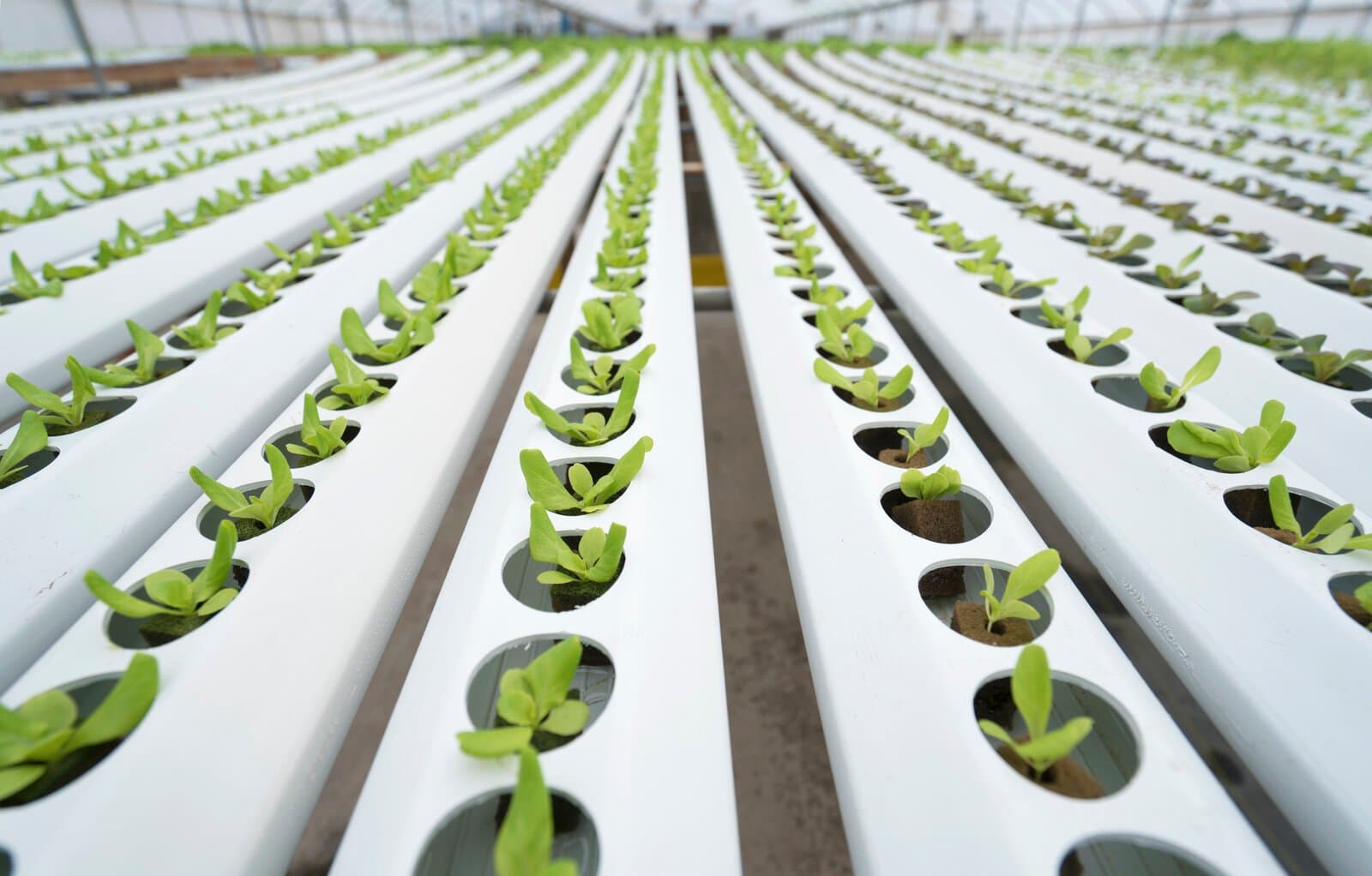 Royal Agricultural University - MSc Agricultural Technology and Innovation