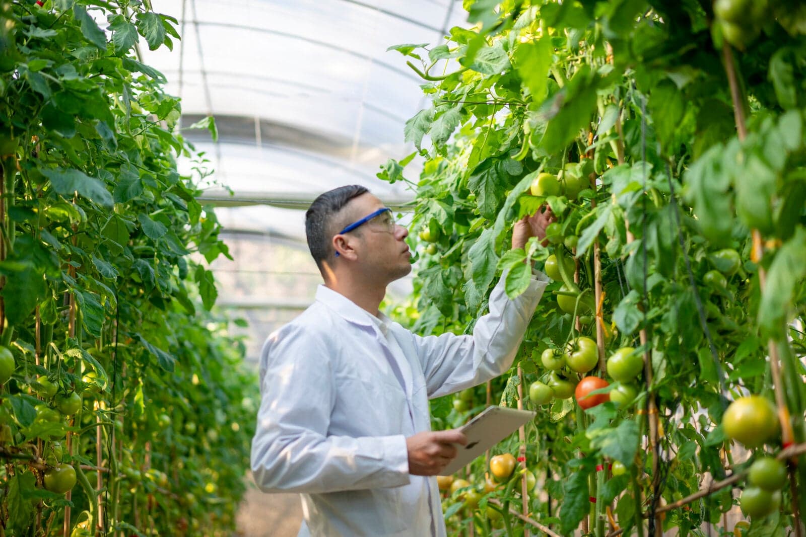 Amazon - Farmbot Part 1 of Python Fundamentals