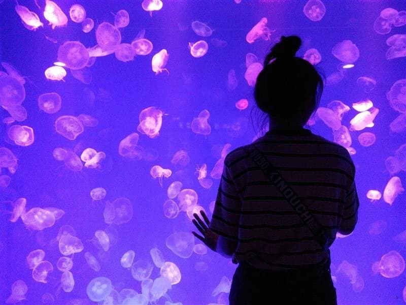 Accenture - Mastering Prompting